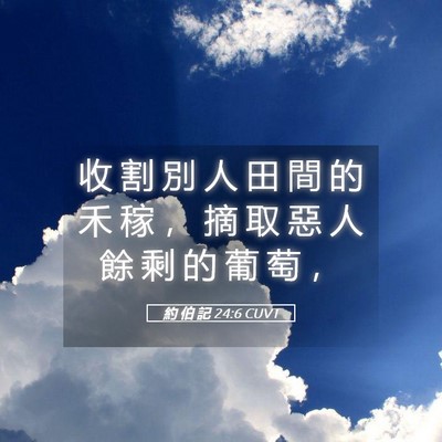 Picture 05 - 約 伯 記 24:6 CUVT - 收 割 別 人 田 間 的 禾 稼 ， 摘 取 - Bible Verse Picture