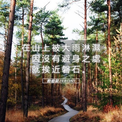 Picture 05 - 約 伯 記 24:8 CUVT - 在 山 上 被 大 雨 淋 濕 ， 因 沒 有 - Bible Verse Picture