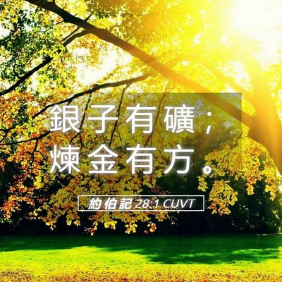 Picture 05 - 約 伯 記 28:1 CUVT - 銀 子 有 礦 ； 煉 金 有 方 - Bible Verse Picture