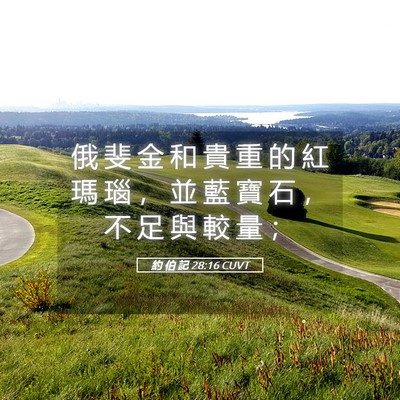 Picture 05 - 約 伯 記 28:16 CUVT - 俄 斐 金 和 貴 重 的 紅 瑪 瑙 ， 並 - Bible Verse Picture
