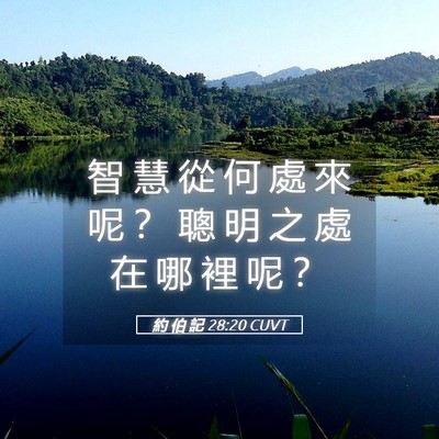 Picture 05 - 約 伯 記 28:20 CUVT - 智 慧 從 何 處 來 呢 ？ 聰 明 之 處 - Bible Verse Picture
