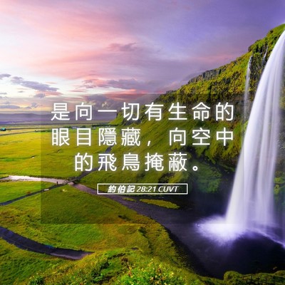 Picture 05 - 約 伯 記 28:21 CUVT - 是 向 一 切 有 生 命 的 眼 目 隱 藏 - Bible Verse Picture