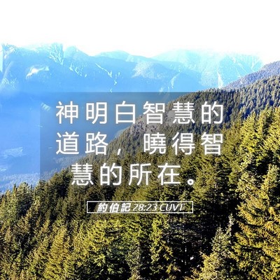 Picture 05 - 約 伯 記 28:23 CUVT - 神 明 白 智 慧 的 道 路 ， 曉 得 智 - Bible Verse Picture