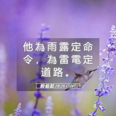 Picture 05 - 約 伯 記 28:26 CUVT - 他 為 雨 露 定 命 令 ， 為 雷 電 定 - Bible Verse Picture