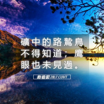 Picture 05 - 約 伯 記 28:7 CUVT - 礦 中 的 路 鷙 鳥 不 得 知 道 ； 鷹 - Bible Verse Picture
