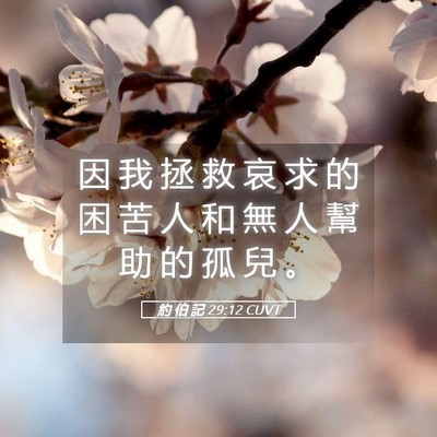 Picture 05 - 約 伯 記 29:12 CUVT - 因 我 拯 救 哀 求 的 困 苦 人 和 無 - Bible Verse Picture
