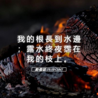 Picture 05 - 約 伯 記 29:19 CUVT - 我 的 根 長 到 水 邊 ； 露 水 終 夜 - Bible Verse Picture