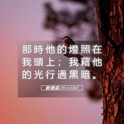 Picture 05 - 約 伯 記 29:3 CUVT - 那 時 他 的 燈 照 在 我 頭 上 ； 我 - Bible Verse Picture