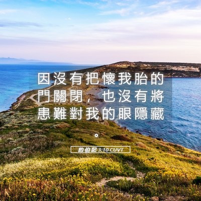 Picture 05 - 約 伯 記 3:10 CUVT - 因 沒 有 把 懷 我 胎 的 門 關 閉 ， - Bible Verse Picture