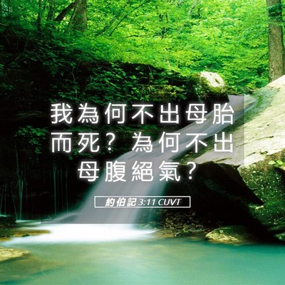 Picture 05 - 約 伯 記 3:11 CUVT - 我 為 何 不 出 母 胎 而 死 ？ 為 何 - Bible Verse Picture