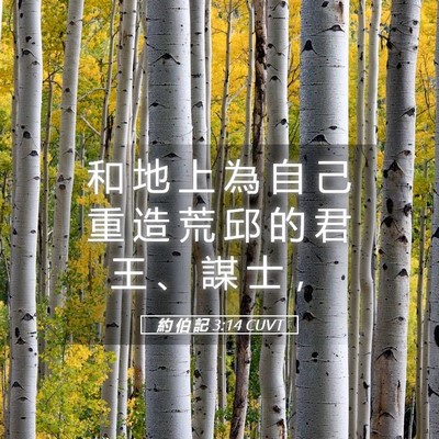 Picture 05 - 約 伯 記 3:14 CUVT - 和 地 上 為 自 己 重 造 荒 邱 的 君 - Bible Verse Picture