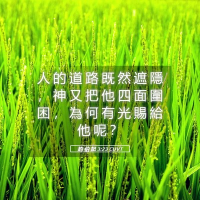 Picture 05 - 約 伯 記 3:23 CUVT - 人 的 道 路 既 然 遮 隱 ， 神 又 把 - Bible Verse Picture
