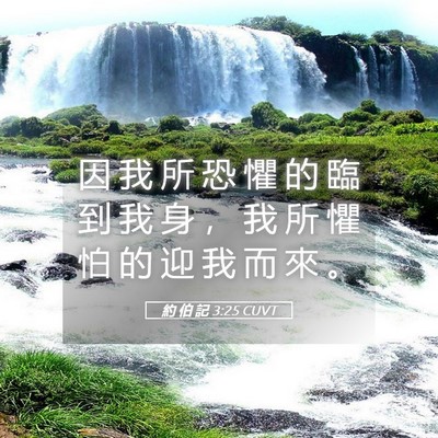 Picture 05 - 約 伯 記 3:25 CUVT - 因 我 所 恐 懼 的 臨 到 我 身 ， 我 - Bible Verse Picture