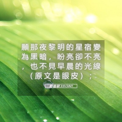 Picture 05 - 約 伯 記 3:9 CUVT - 願 那 夜 黎 明 的 星 宿 變 為 黑 暗 - Bible Verse Picture