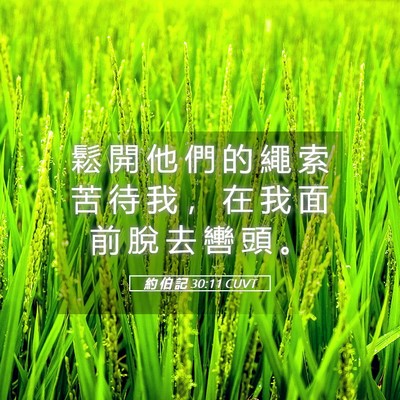 Picture 05 - 約 伯 記 30:11 CUVT - 鬆 開 他 們 的 繩 索 苦 待 我 ， 在 - Bible Verse Picture