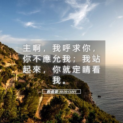 Picture 05 - 約 伯 記 30:20 CUVT - 主 啊 ， 我 呼 求 你 ， 你 不 應 允 - Bible Verse Picture