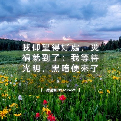 Picture 05 - 約 伯 記 30:26 CUVT - 我 仰 望 得 好 處 ， 災 禍 就 到 了 - Bible Verse Picture