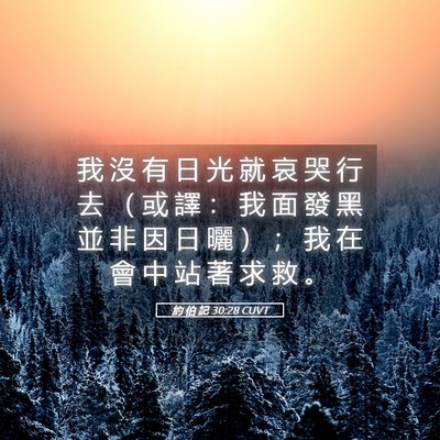 Picture 05 - 約 伯 記 30:28 CUVT - 我 沒 有 日 光 就 哀 哭 行 去 （ 或 - Bible Verse Picture