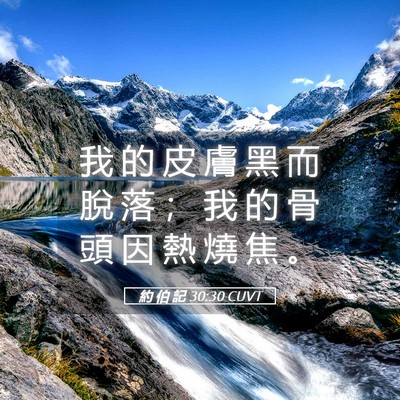 Picture 05 - 約 伯 記 30:30 CUVT - 我 的 皮 膚 黑 而 脫 落 ； 我 的 骨 - Bible Verse Picture
