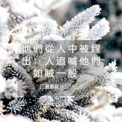 Picture 05 - 約 伯 記 30:5 CUVT - 他 們 從 人 中 被 趕 出 ； 人 追 喊 - Bible Verse Picture