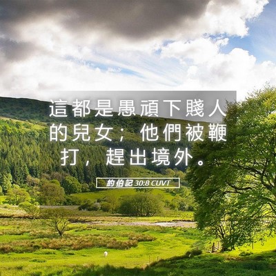 Picture 05 - 約 伯 記 30:8 CUVT - 這 都 是 愚 頑 下 賤 人 的 兒 女 ； - Bible Verse Picture