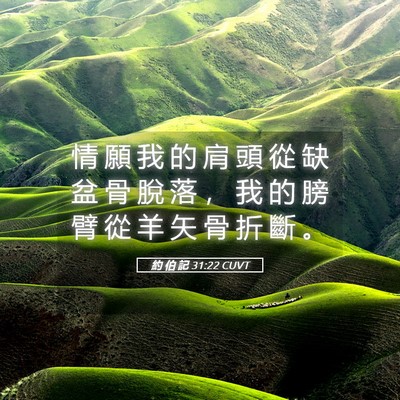 Picture 05 - 約 伯 記 31:22 CUVT - 情 願 我 的 肩 頭 從 缺 盆 骨 脫 落 - Bible Verse Picture
