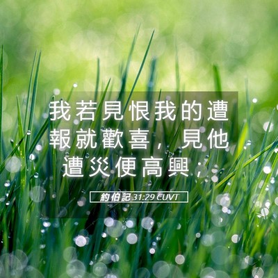 Picture 05 - 約 伯 記 31:29 CUVT - 我 若 見 恨 我 的 遭 報 就 歡 喜 ， - Bible Verse Picture