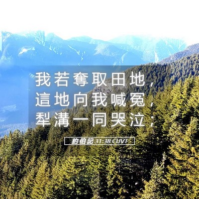 Picture 05 - 約 伯 記 31:38 CUVT - 我 若 奪 取 田 地 ， 這 地 向 我 喊 - Bible Verse Picture