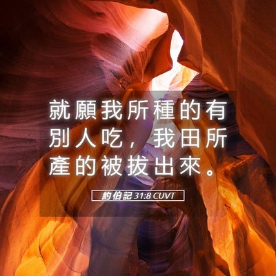 Picture 05 - 約 伯 記 31:8 CUVT - 就 願 我 所 種 的 有 別 人 吃 ， 我 - Bible Verse Picture