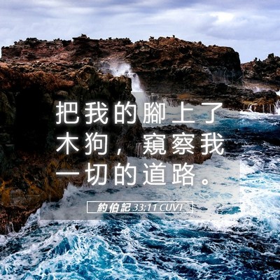 Picture 05 - 約 伯 記 33:11 CUVT - 把 我 的 腳 上 了 木 狗 ， 窺 察 我 - Bible Verse Picture