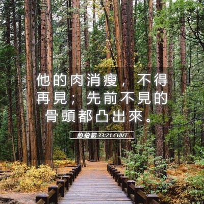 Picture 05 - 約 伯 記 33:21 CUVT - 他 的 肉 消 瘦 ， 不 得 再 見 ； 先 - Bible Verse Picture