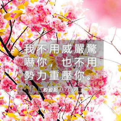 Picture 05 - 約 伯 記 33:7 CUVT - 我 不 用 威 嚴 驚 嚇 你 ， 也 不 用 - Bible Verse Picture
