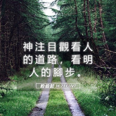 Picture 05 - 約 伯 記 34:21 CUVT - 神 注 目 觀 看 人 的 道 路 ， 看 明 - Bible Verse Picture