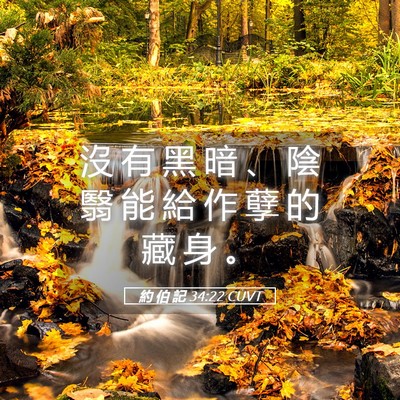 Picture 05 - 約 伯 記 34:22 CUVT - 沒 有 黑 暗 、 陰 翳 能 給 作 孽 的 - Bible Verse Picture