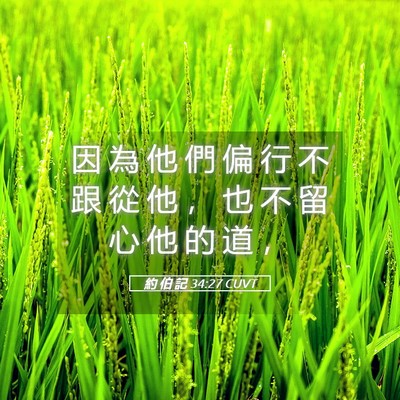 Picture 05 - 約 伯 記 34:27 CUVT - 因 為 他 們 偏 行 不 跟 從 他 ， 也 - Bible Verse Picture