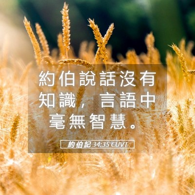 Picture 05 - 約 伯 記 34:35 CUVT - 約 伯 說 話 沒 有 知 識 ， 言 語 中 - Bible Verse Picture