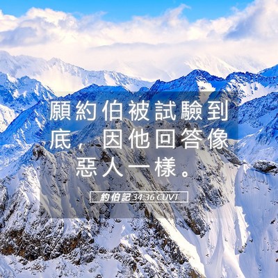 Picture 05 - 約 伯 記 34:36 CUVT - 願 約 伯 被 試 驗 到 底 ， 因 他 回 - Bible Verse Picture
