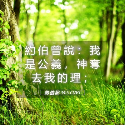Picture 05 - 約 伯 記 34:5 CUVT - 約 伯 曾 說 ： 我 是 公 義 ， 神 奪 - Bible Verse Picture