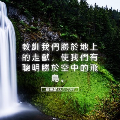 Picture 05 - 約 伯 記 35:11 CUVT - 教 訓 我 們 勝 於 地 上 的 走 獸 ， - Bible Verse Picture