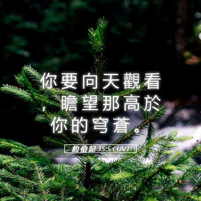 Picture 05 - 約 伯 記 35:5 CUVT - 你 要 向 天 觀 看 ， 瞻 望 那 高 於 - Bible Verse Picture