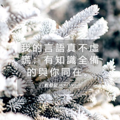 Picture 05 - 約 伯 記 36:4 CUVT - 我 的 言 語 真 不 虛 謊 ； 有 知 識 - Bible Verse Picture