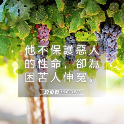 Picture 05 - 約 伯 記 36:6 CUVT - 他 不 保 護 惡 人 的 性 命 ， 卻 為 - Bible Verse Picture