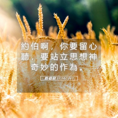 Picture 05 - 約 伯 記 37:14 CUVT - 約 伯 啊 ， 你 要 留 心 聽 ， 要 站 - Bible Verse Picture