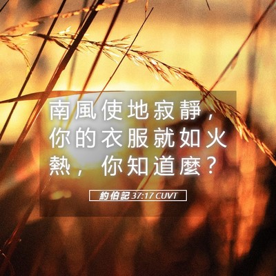Picture 05 - 約 伯 記 37:17 CUVT - 南 風 使 地 寂 靜 ， 你 的 衣 服 就 - Bible Verse Picture