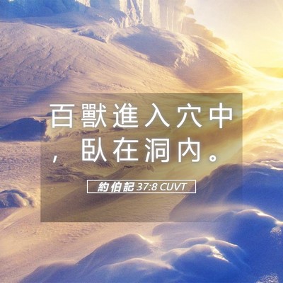 Picture 05 - 約 伯 記 37:8 CUVT - 百 獸 進 入 穴 中 ， 臥 在 洞 內 - Bible Verse Picture