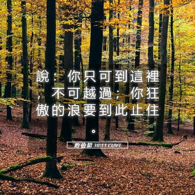 Picture 05 - 約 伯 記 38:11 CUVT - 說 ： 你 只 可 到 這 裡 ， 不 可 越 - Bible Verse Picture