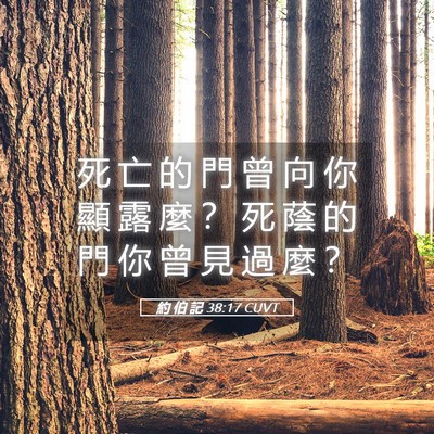 Picture 05 - 約 伯 記 38:17 CUVT - 死 亡 的 門 曾 向 你 顯 露 麼 ？ 死 - Bible Verse Picture