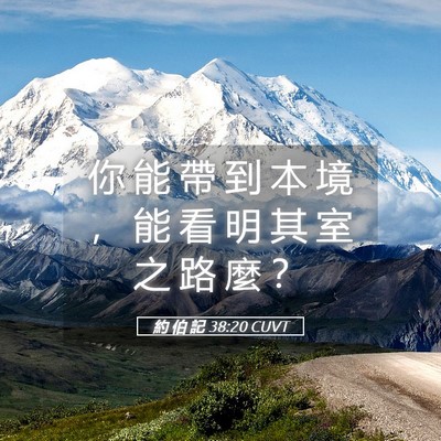 Picture 05 - 約 伯 記 38:20 CUVT - 你 能 帶 到 本 境 ， 能 看 明 其 室 - Bible Verse Picture