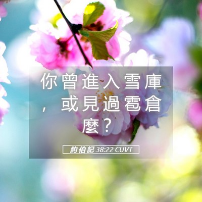 Picture 05 - 約 伯 記 38:22 CUVT - 你 曾 進 入 雪 庫 ， 或 見 過 雹 倉 - Bible Verse Picture