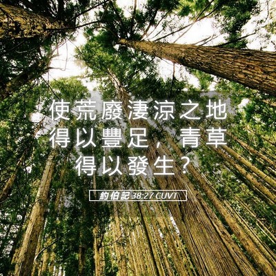 Picture 05 - 約 伯 記 38:27 CUVT - 使 荒 廢 淒 涼 之 地 得 以 豐 足 ， - Bible Verse Picture